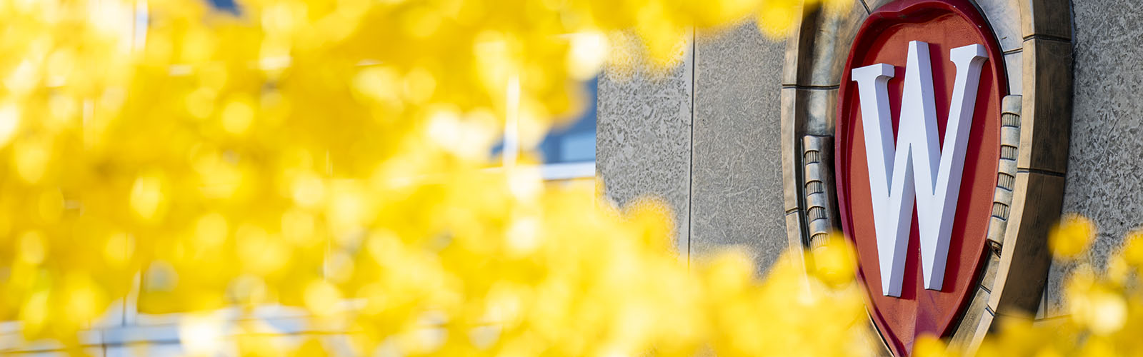 UW-Madison crest in autumn leaves